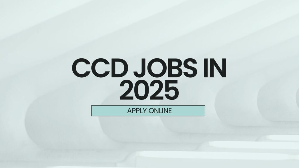 CCD jobs