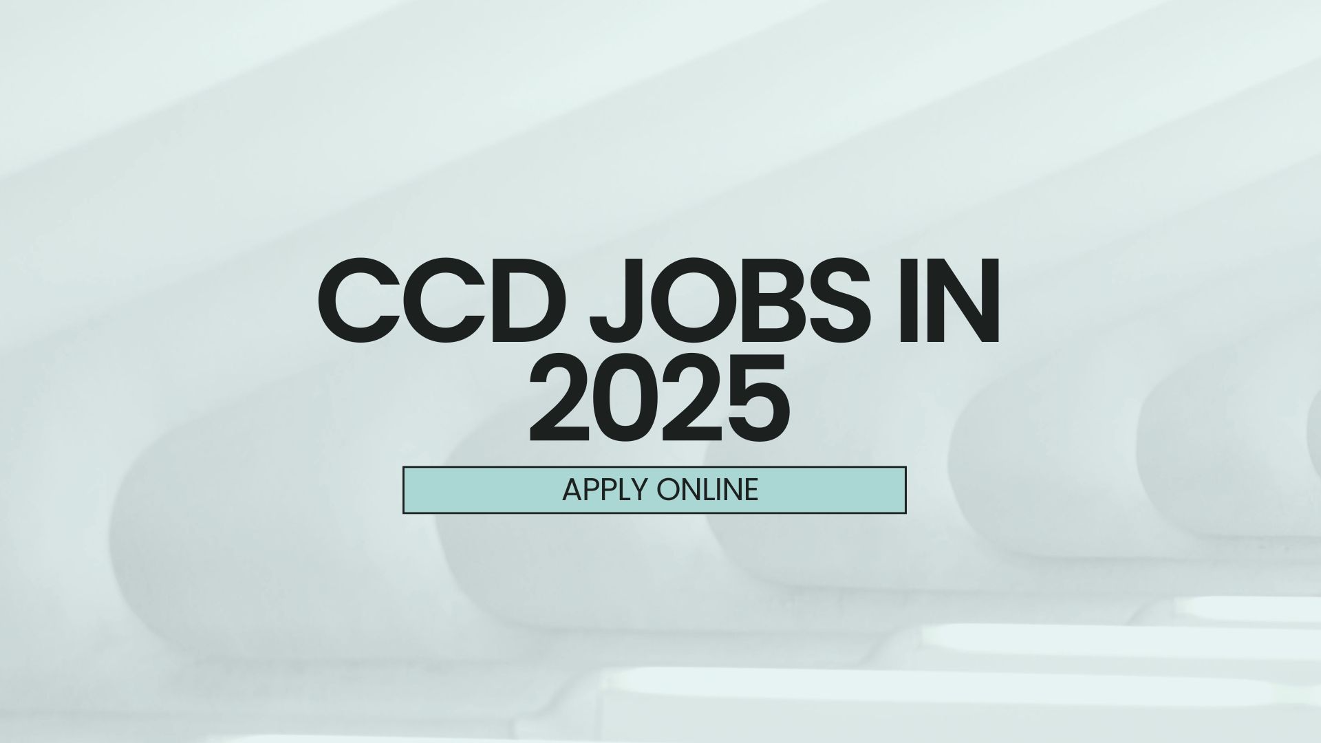 CCD jobs